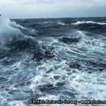 Southern Ocean Waves