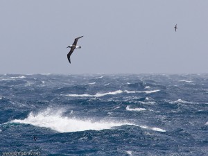 Southern Ocean by chrisbray.net