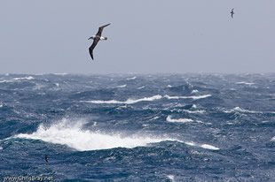 Southern Ocean by chrisbray.net