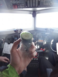 How friendship begins - being offered a piece of cucumber whilst flying at 4000metres over Antarctica - thanks Jim!